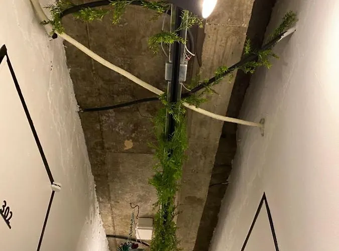 Green Concrete 2*
